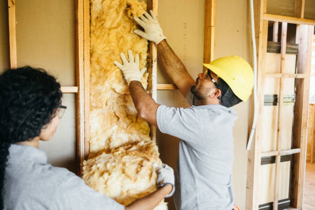 Best Attic Insulation Installation  in New Paris, IN