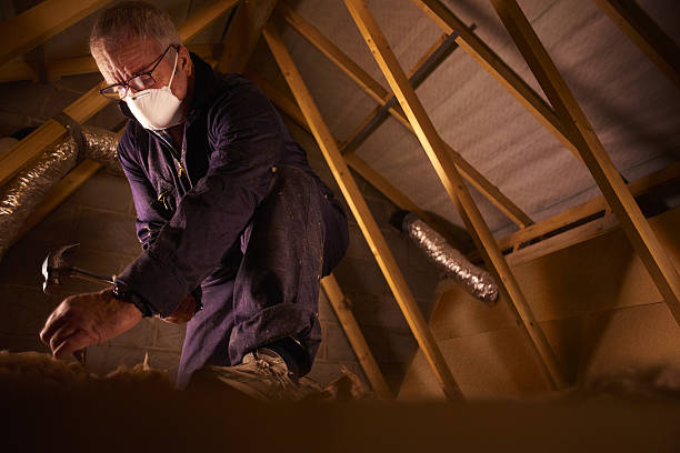 Best Wall Insulation Contractor  in New Paris, IN
